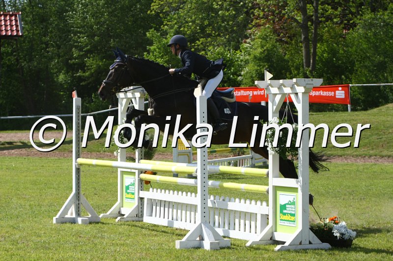 204M1383_Golden Girl_Spring_Ax.JPG